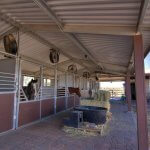 Horse Property in Phoenix Arizona